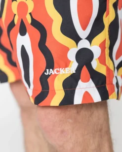 Pantalons & Shorts|JACKER EXPLORER - BOARDSHORT - MULTI