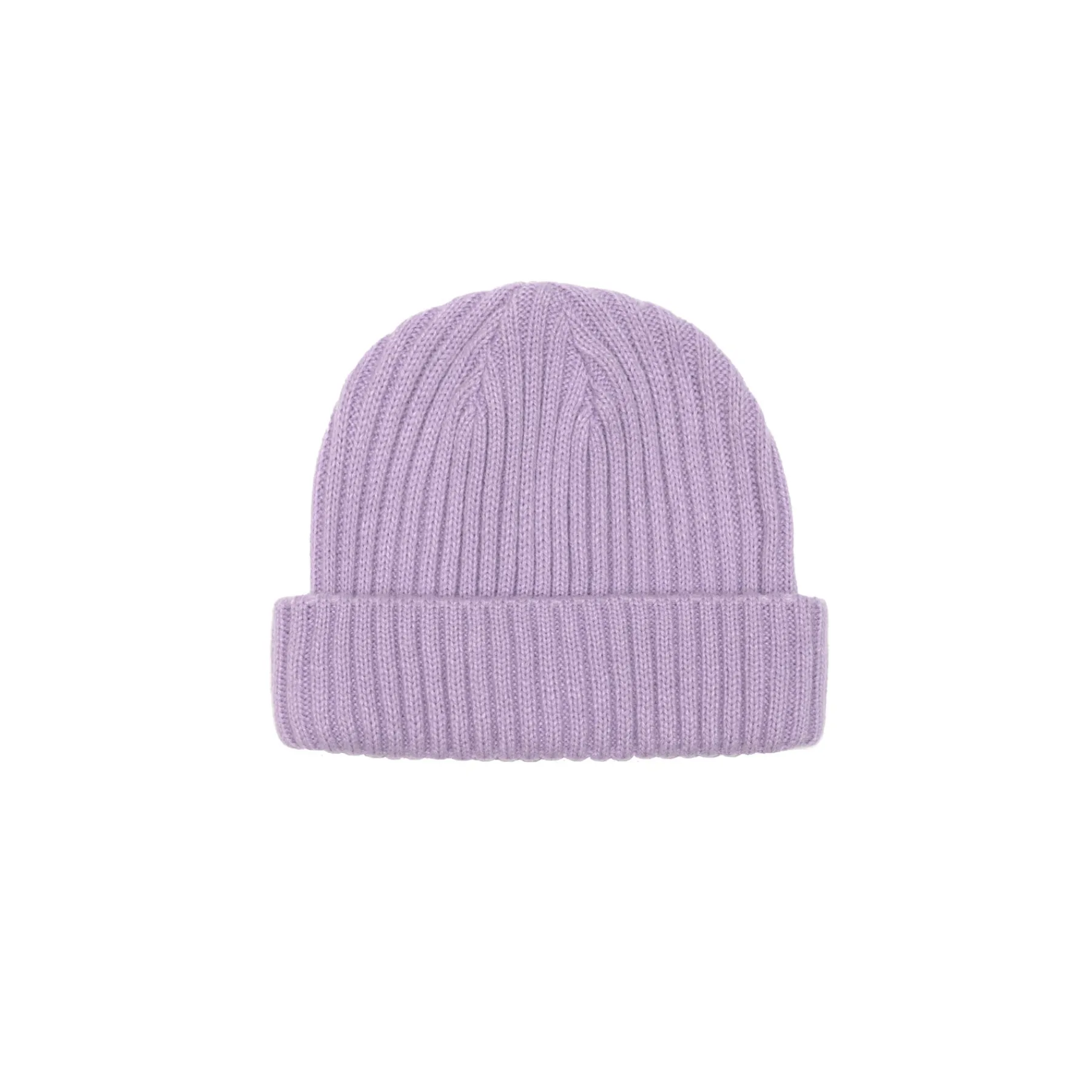 Headwear|JACKER TEAM LOGO SHORT BEANIE - LAVENDER